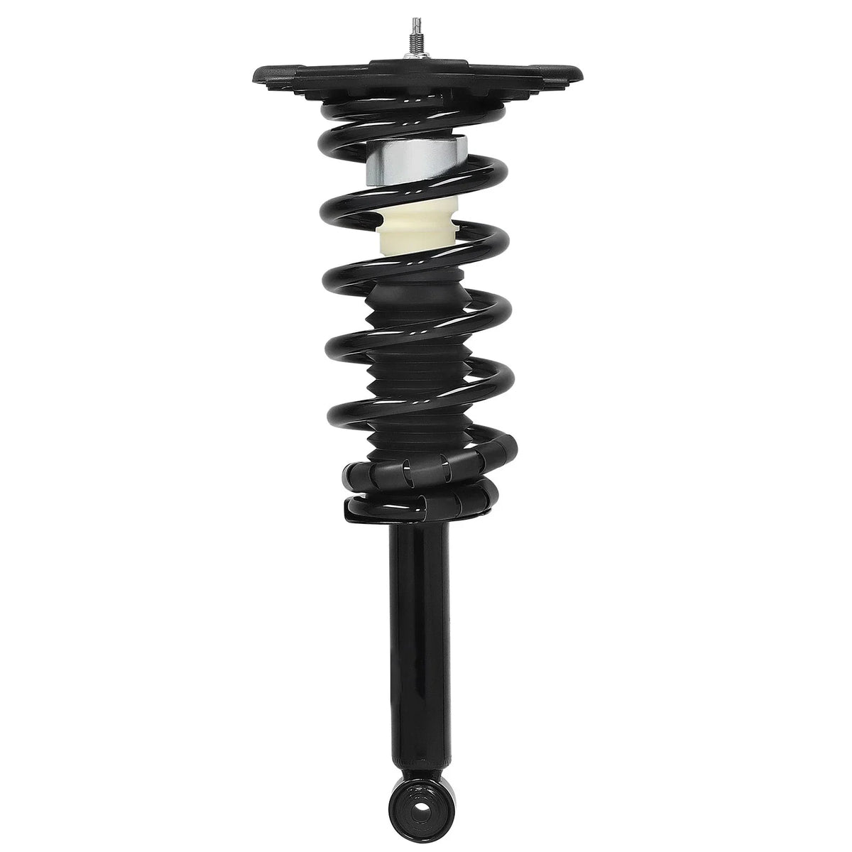 2X Rear Strut Spring Assembly for Nissan Sentra (2000–2006) 1.8L L4 171312
