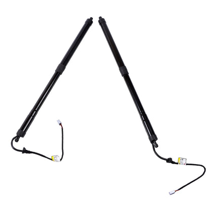 Tailgate Support Bar for Lexus RX350 RX450h (2016–2019) BCK10230K