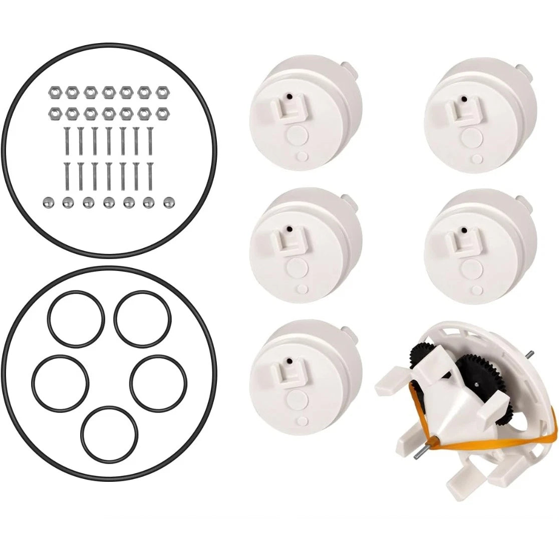 Complete Water Valve Rebuilding Kit for CareTaker 5-Port Valve Systems