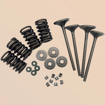 Head Intake & Exhaust Valves Seals Springs Kit for Honda TRX400EX (2000–2006) 30-3111 30-3115 30-3117 MRS16