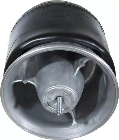 2X Air Spring for Freightliner Columbia (Replaces: 16-13810-000, AGO-9781, Firestone W01-358-9781)
