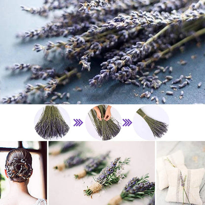 200 Stems Dried Lavender Flowers Bundles for Floral Arrangements