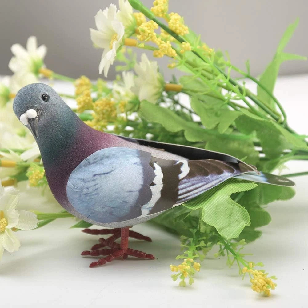 Simulation Foam Pigeon Model for Various Applications