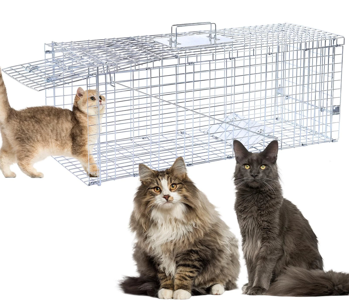 32 Inch Humane Animal Trap Cage for Raccoons Squirrels Cats Rabbits