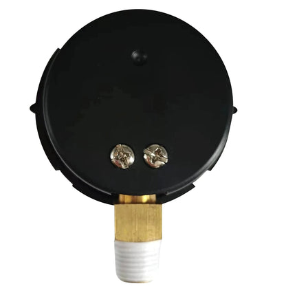 Pressure Gauge for Pentair FNS Clean & Clear Pool Filter (190058)