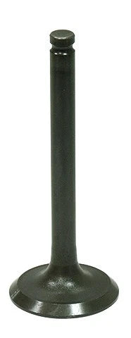 Exhaust Valves for Bronco XU-09164E (AU-09207E)