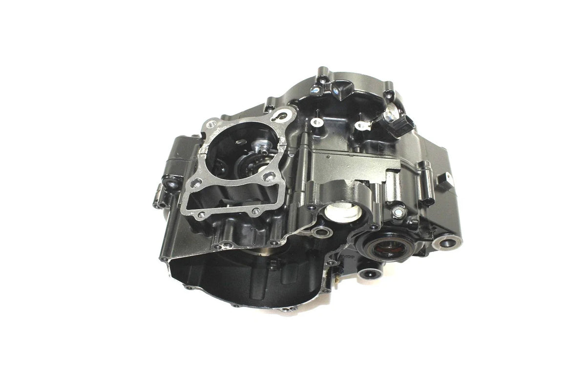 OEM Motor Engine Crank Cases for Kawasaki KLX230 SM (2023) 14101-0004