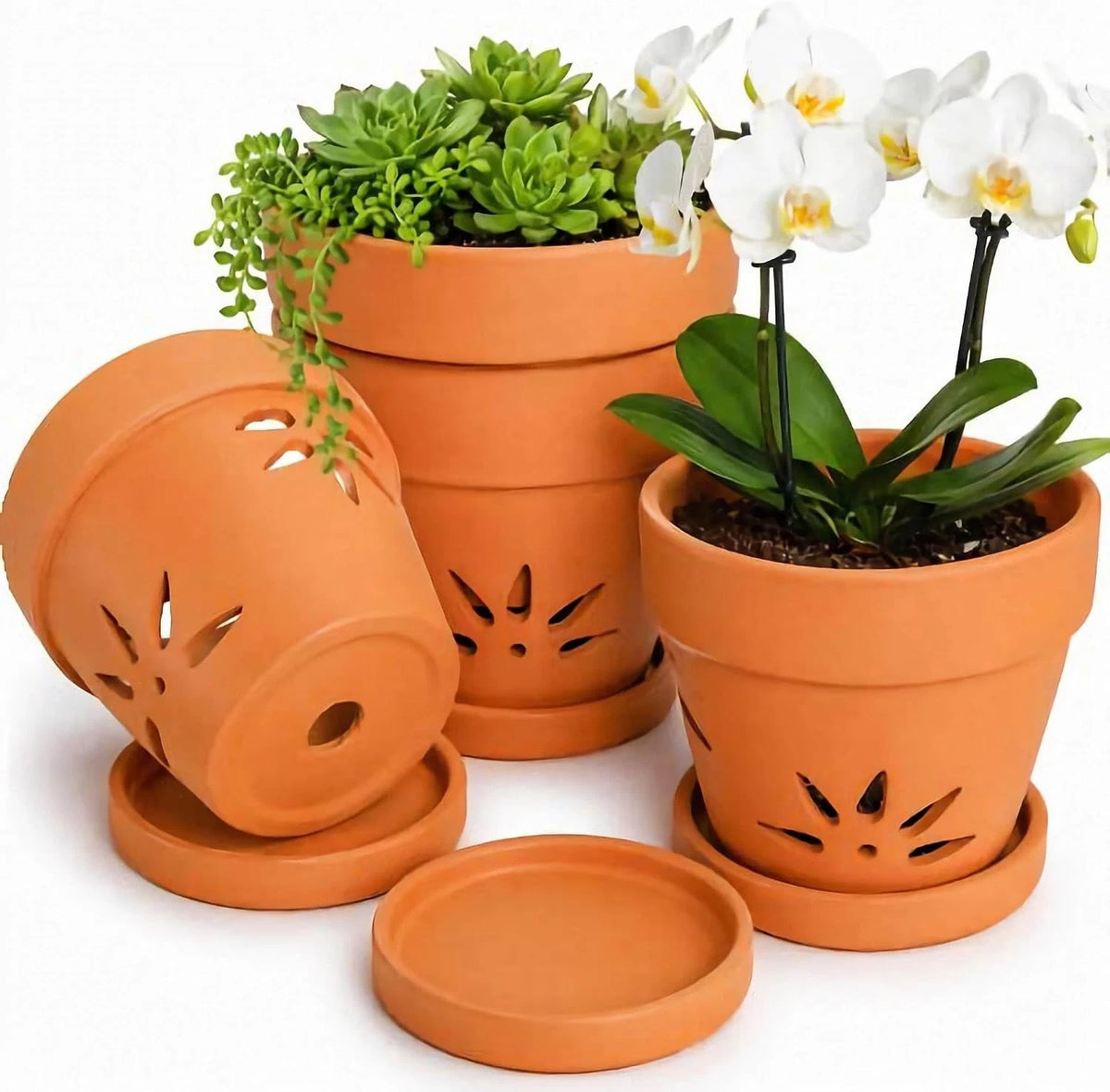 Set of 4 Orchid Pots with Holes and Saucers for Terracotta Clay