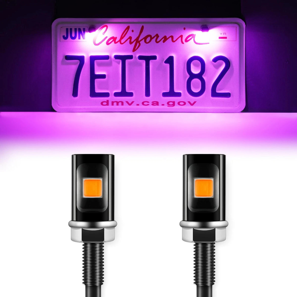 2X Super Bright License Plate Light for Universal Vehicles (12V)