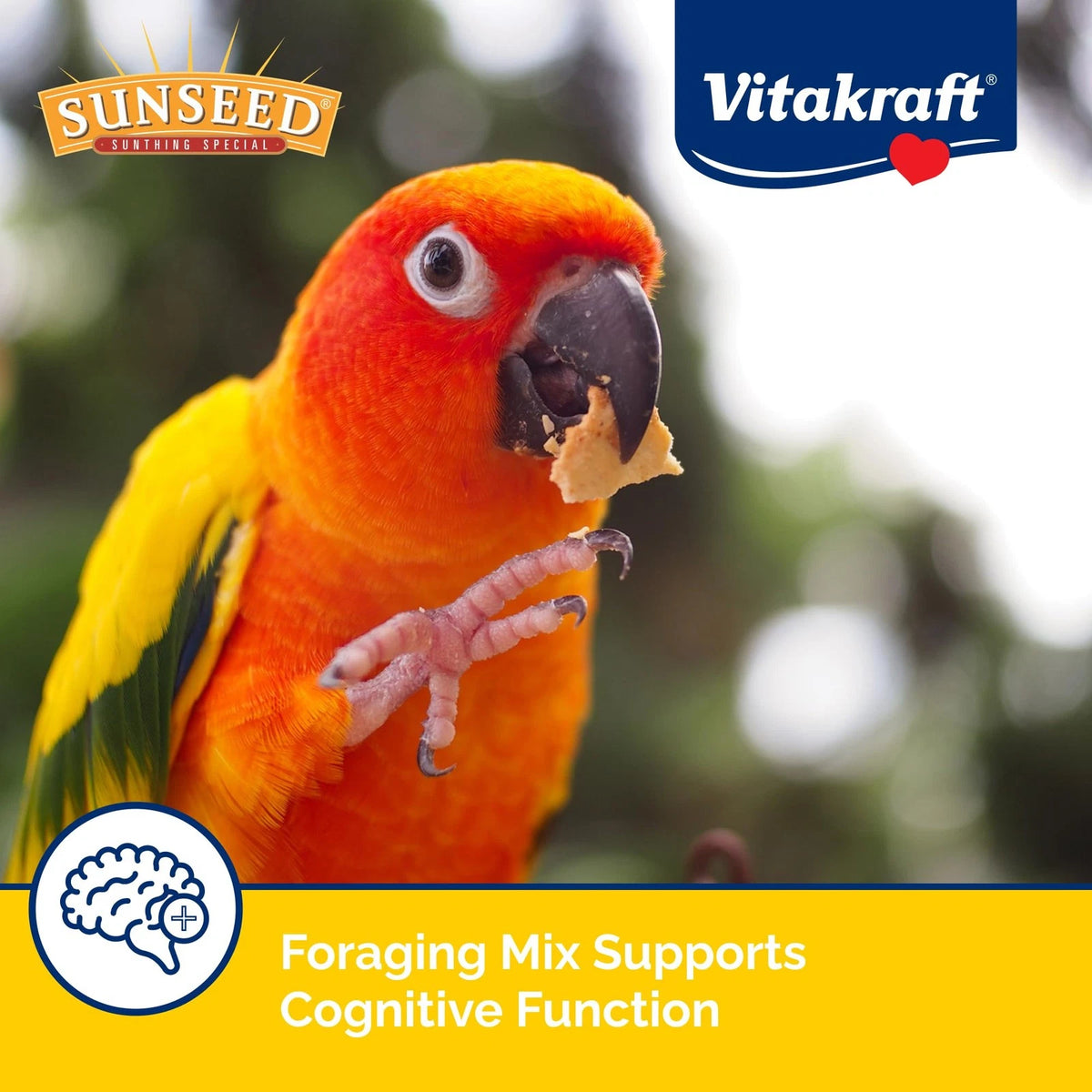 Sunseed Vita Prima Conure Food for Conure (Nutrient-Rich Blend)