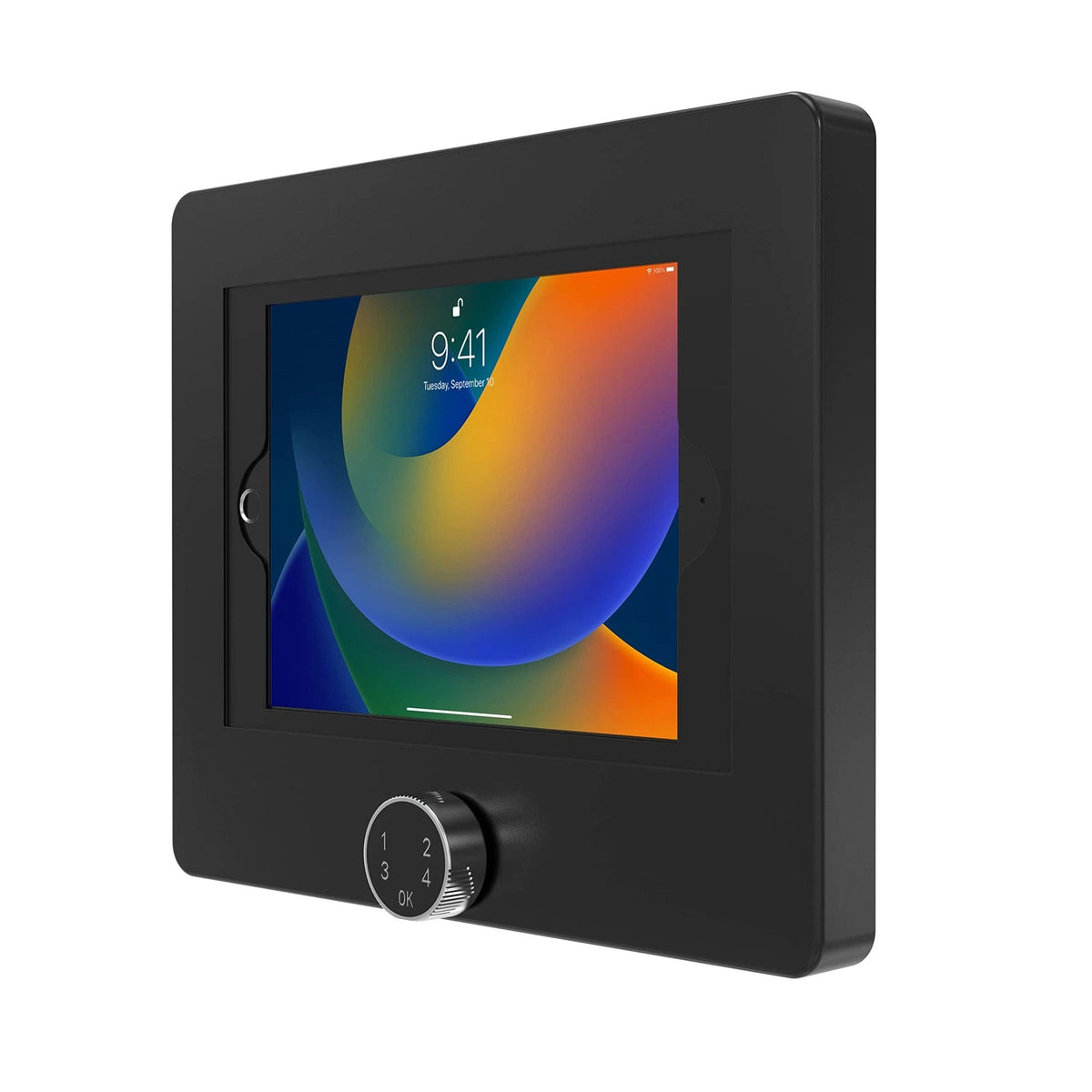 Anti-Theft Locking Tablet Wall Mount for iPad (2010–2023)