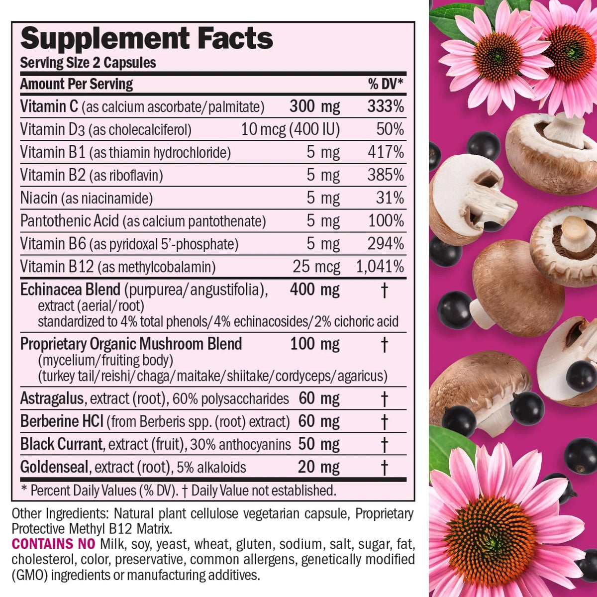 Immune Factors Echinacea 60 Capsules for Health Support (Pack of 1)