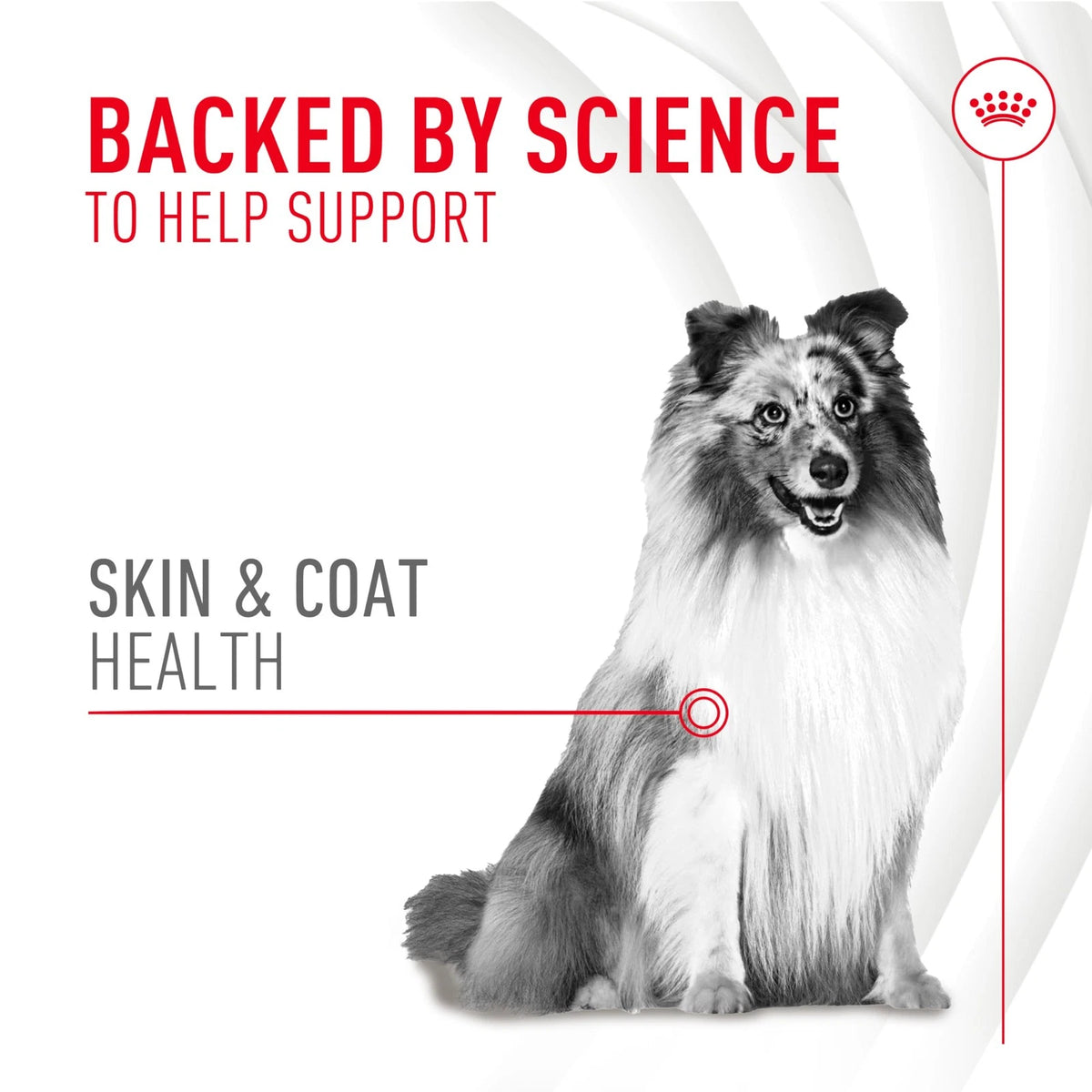 Royal Canin Skin & Coat Soft Chews for Adult Dogs (60 Chews)