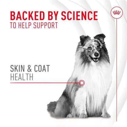 Royal Canin Skin & Coat Soft Chews for Adult Dogs (60 Chews)