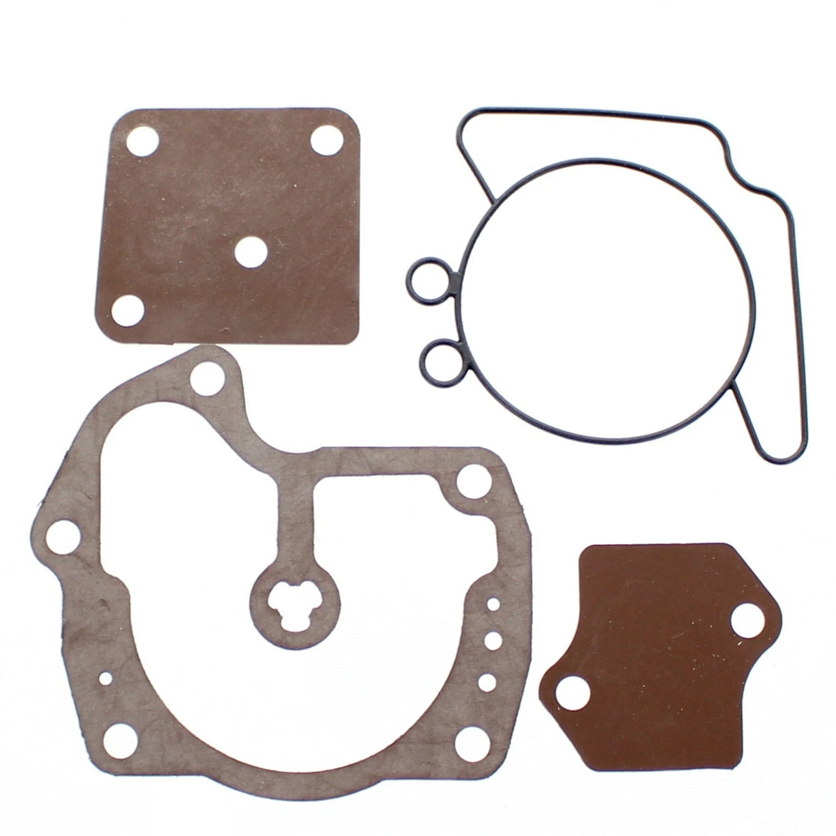 Carburetor Repair Kit with Float for Johnson Evinrude OMC (0439079)
