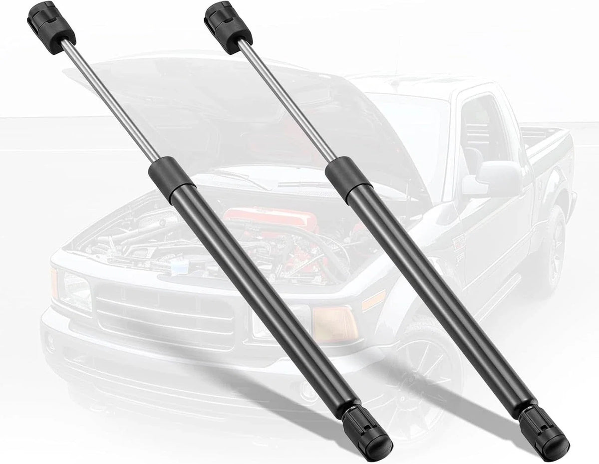 Lift Supports for Ford Expedition (4478 SG404016) (2003–2014)