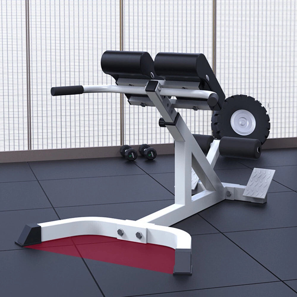 Adjustable Roman Chair Back Extension Bench for Exercise (2010–2023)
