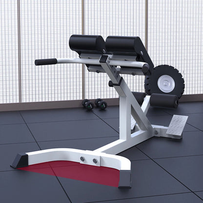 Adjustable Roman Chair Back Extension Bench for Exercise (2010–2023)