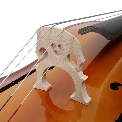 4/4 Size Basswood Cello Set with Bow and Rosin for Cello