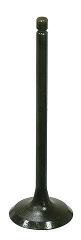Exhaust Valves for Bronco XU-09164E (AU-09199E)