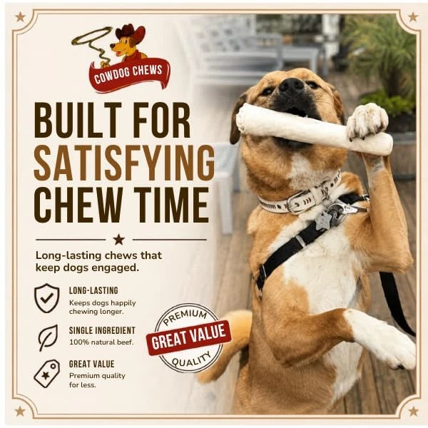 Retriever Roll Chews for Dogs 9-10 Inch All Natural (Pack of 1)