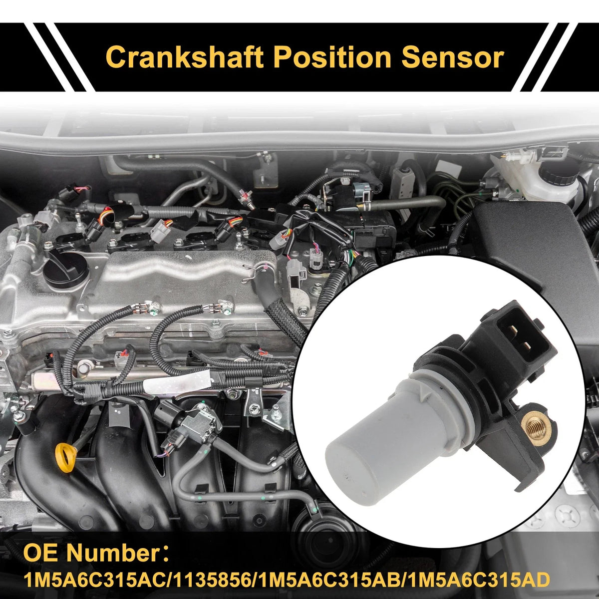 1 Pc Crankshaft Position Sensor No.1M5A6C315AC for Ford Focus (2001–2004)