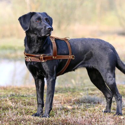 Large Brown Leather Dog Harness for Rottweiler (Adjustable)
