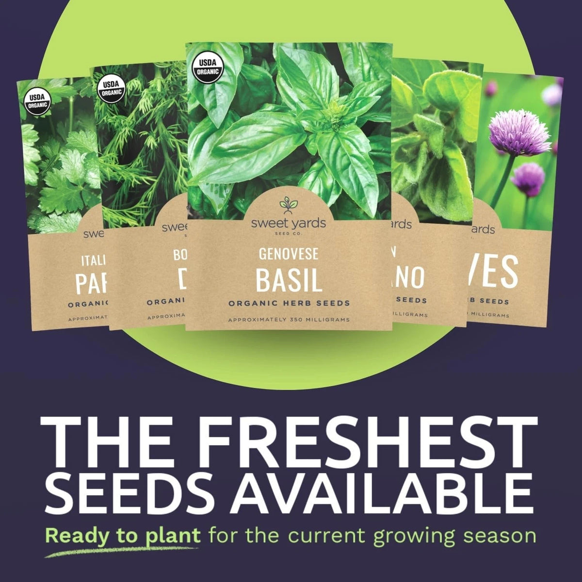 Organic Herb Seeds Variety Pack for Garden Use (2026 Season)