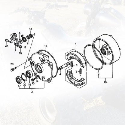 Rear Brake Drum Hub Plate Cover & Shoes Kit for Honda Recon 250 (2002–2004)