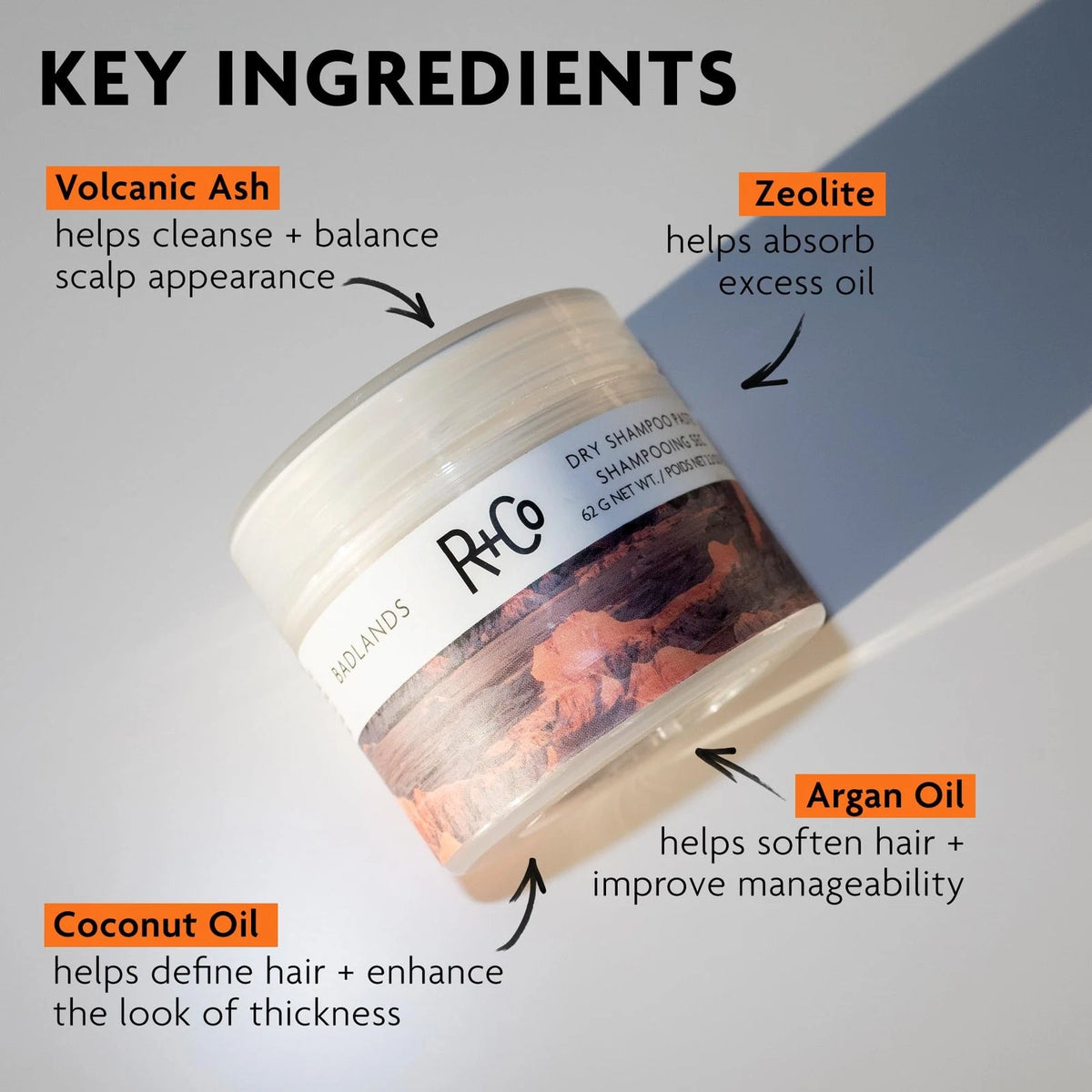 R+Co Badlands Dry Shampoo Paste for All Makes Models (Pack of 1)