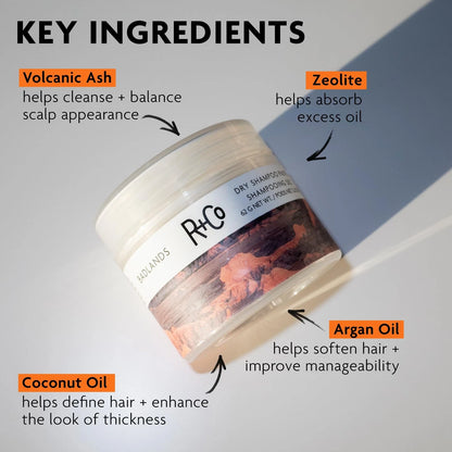 R+Co Badlands Dry Shampoo Paste for All Makes Models (Pack of 1)