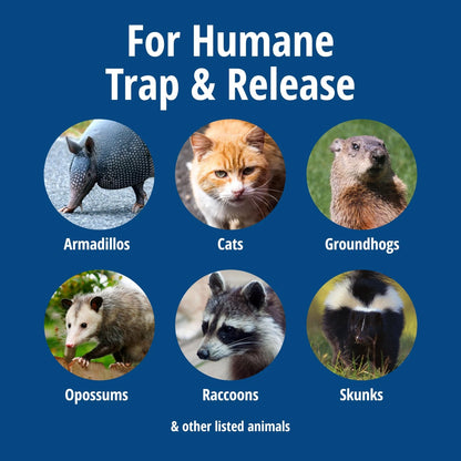 Large 1-Door Live Animal Trap for Raccoons, Cats, Bobcats (1)
