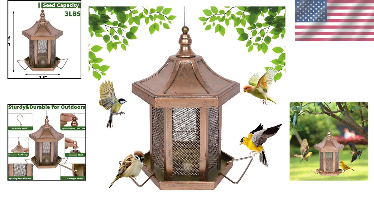3LB Capacity Hexagon Bird Feeder for Birdwatching