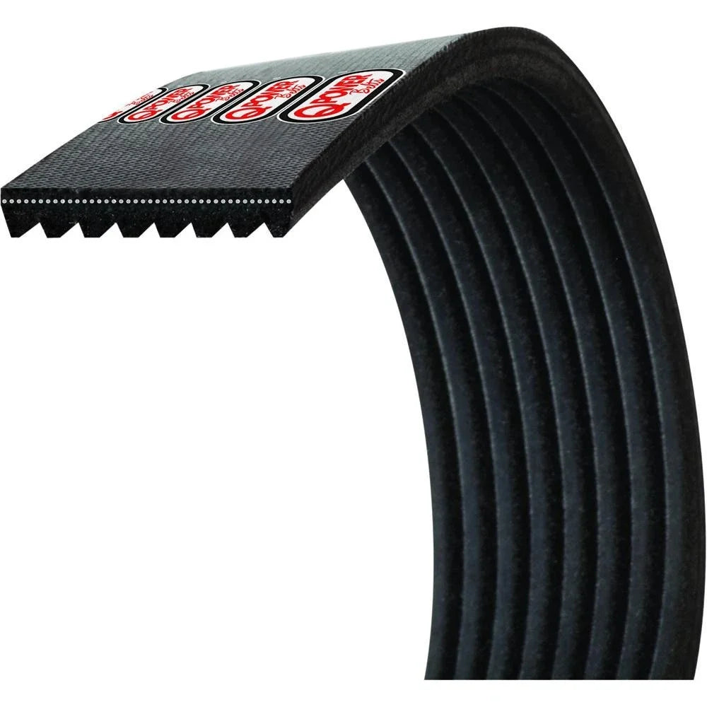 Alternator Belt AMR502417 for