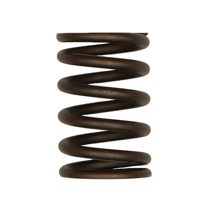 Valve Spring for Ford 2000 2600 3000 3600 4000 4600 5000 5110 5600 5610 5700