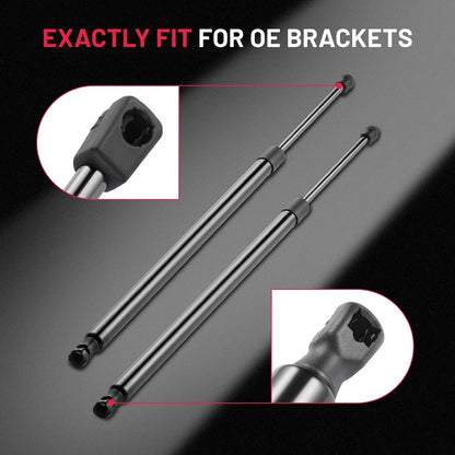 Liftgate Lift Supports for Nissan Armada (2005–2015) 5.6L
