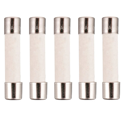 5X Microwave Fuse 20A Ceramic Slow-Blow 250V for Automotive Use