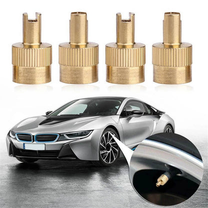 40Pcs Schrader Valve Core Remover Tool Stem Caps with O-Rings for Most Vehicles