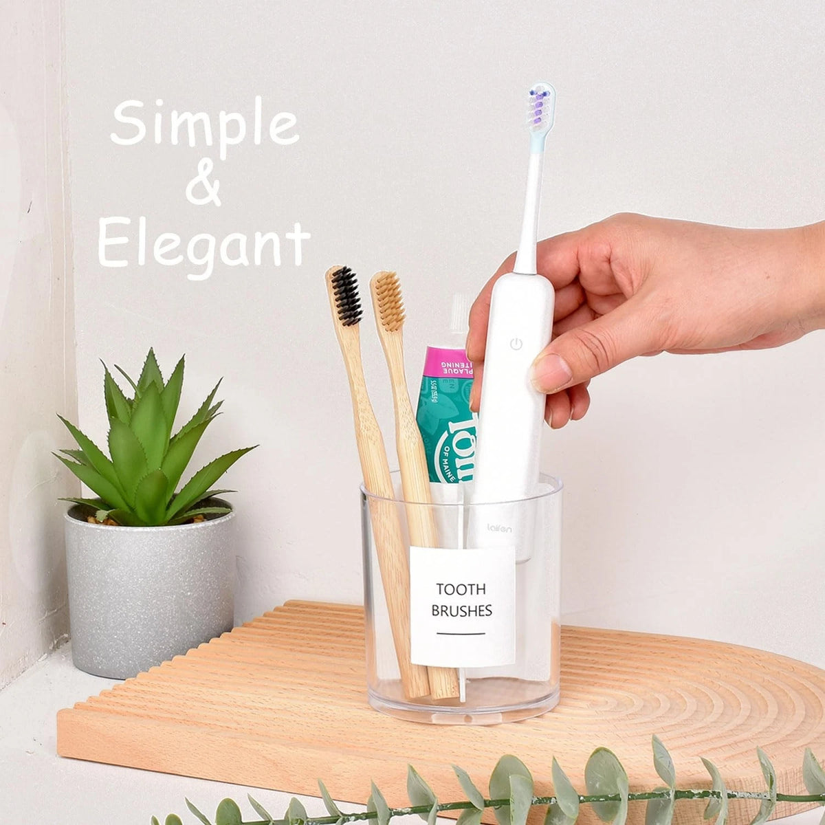 Acrylic Toothbrush Holder with White Divider for Bathroom (2010–2023)