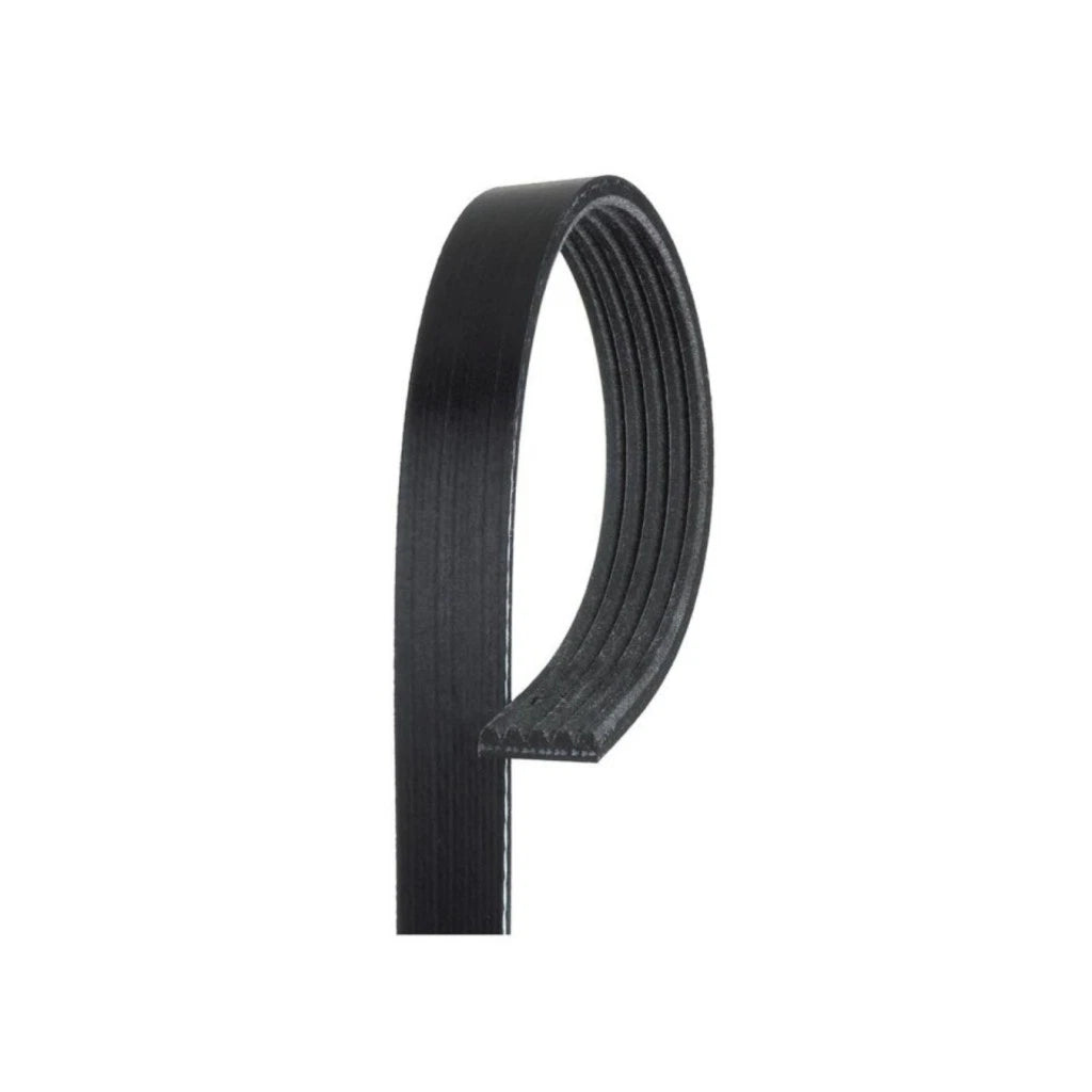 Serpentine Belt for Suzuki Swift (2009) OLX-ACD5K618-CL360A52