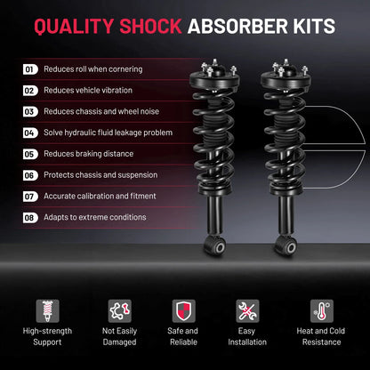2Pc Front Shock Struts w/ Coil Spring Assembly for 2010–2010 Ford F-150 (4.6L)