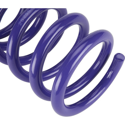 Set of 2 Front Springs for Chevy Ford (800 lb, 25255-800)