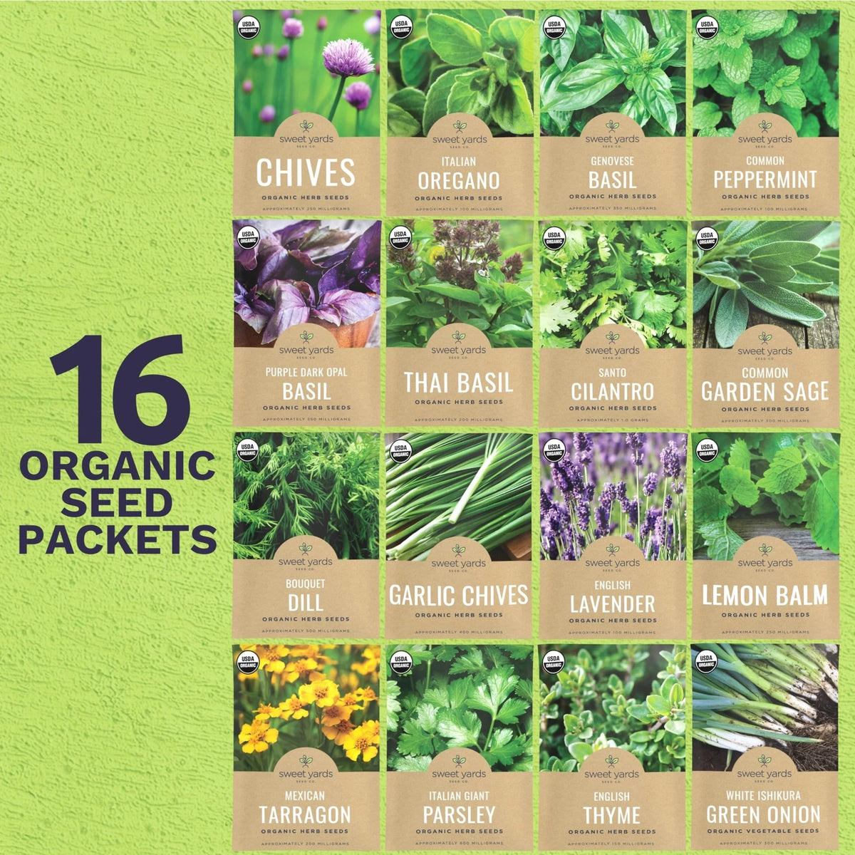 Organic Herb Seeds Variety Pack for Garden Use (2026 Season)