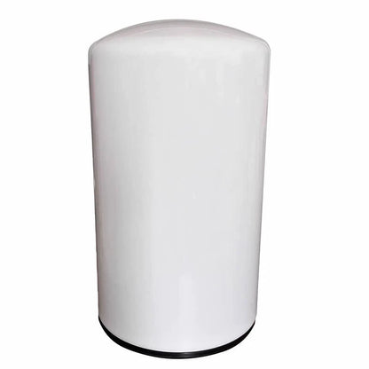 Fleetguard Fuel Filter FF5776 for Cummins (2864993, 2893612)