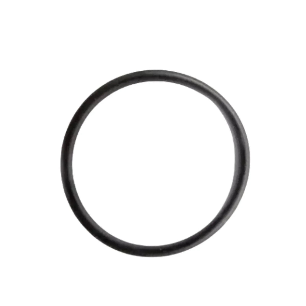 Set of 2 O-Rings for BRP OMC (314491)
