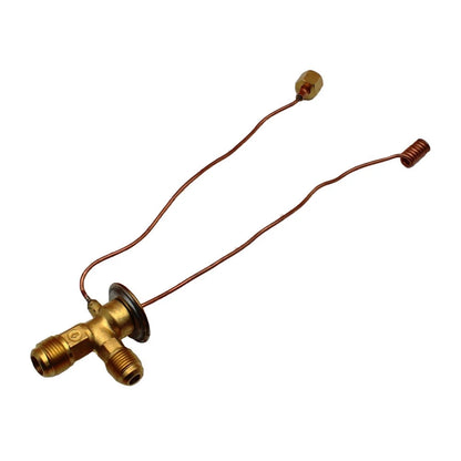 Expansion Valve for International 766 966 1066 1466 1468 (No Years Supplied)