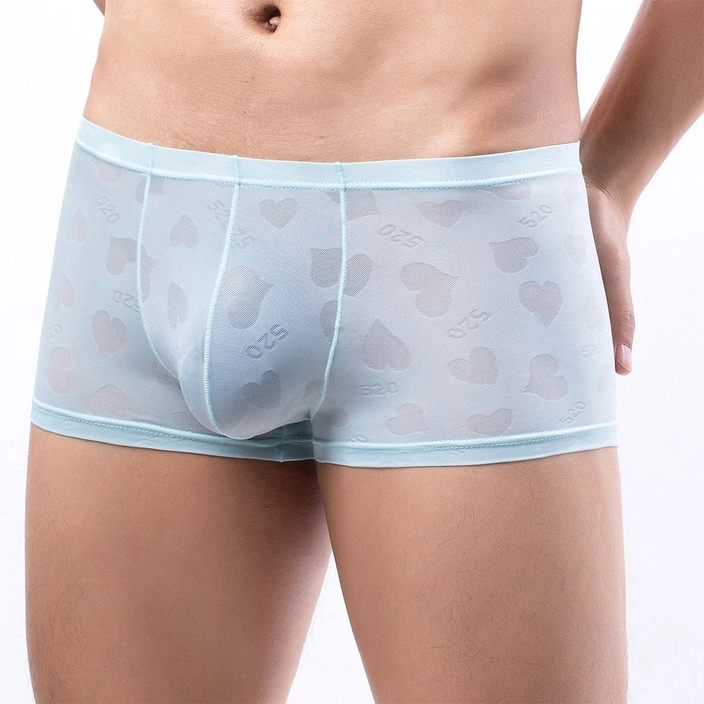 Stylish Mesh Boxers Shorts for Men - Pouch Briefs Underwear Collection