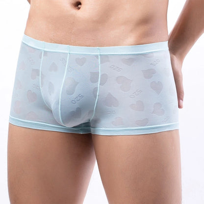 Stylish Mesh Boxers Shorts for Men - Pouch Briefs Underwear Collection