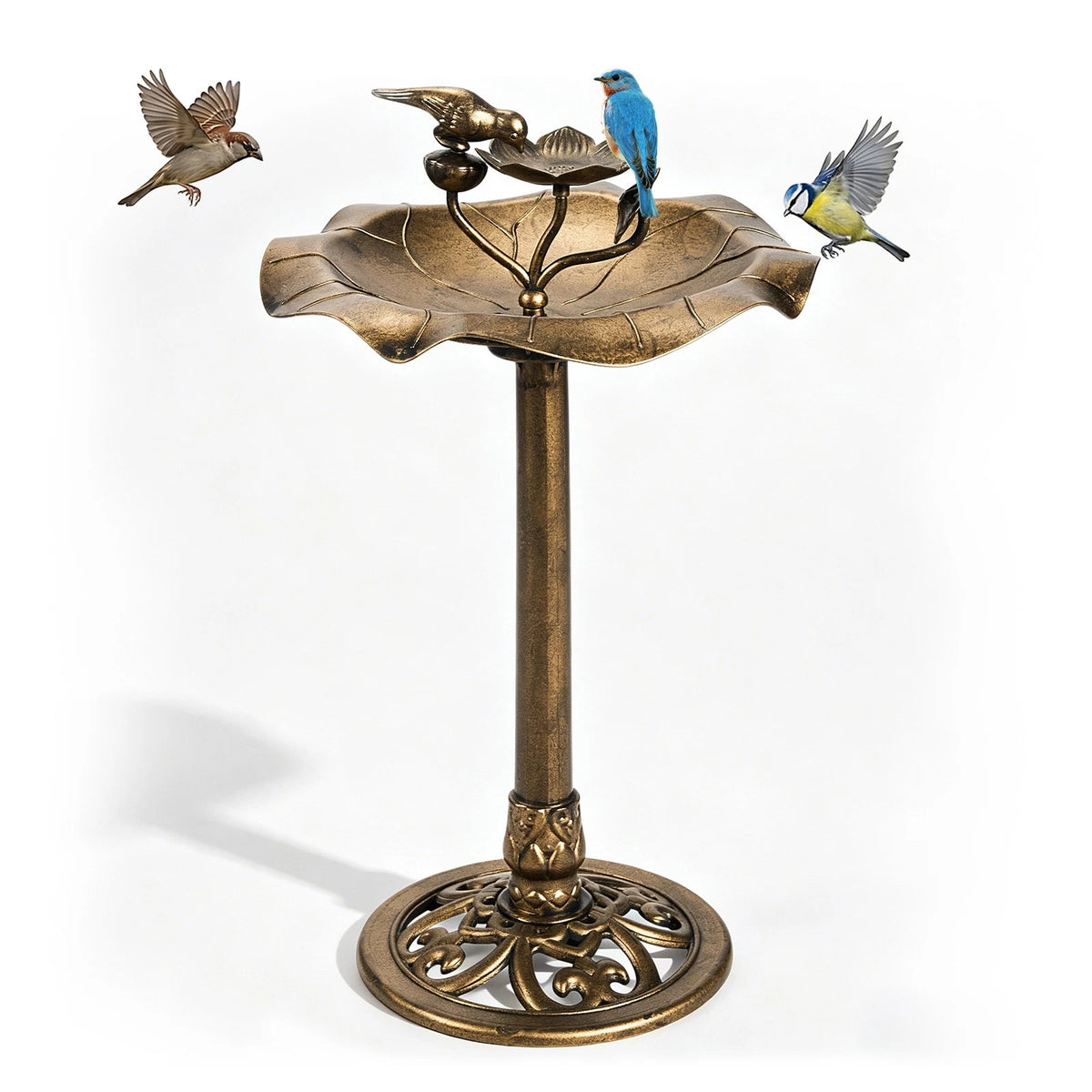 33" Pedestal Bird Bath for Outdoor Garden Decor