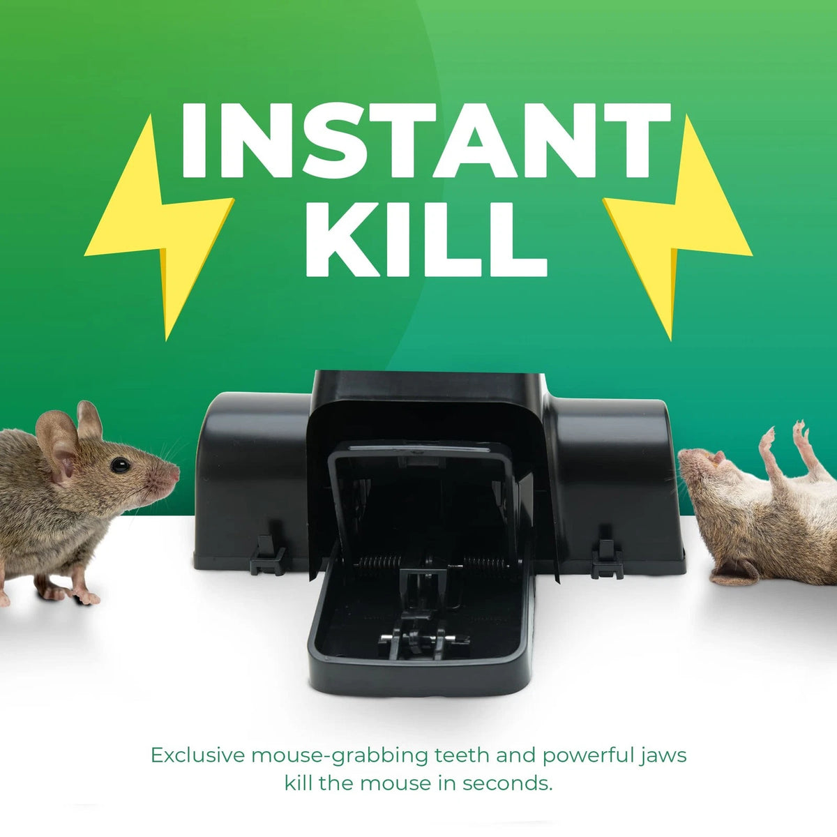 2X Rat Traps Indoor Outdoor Dual-Entry Large Trap Pack of 2, Black